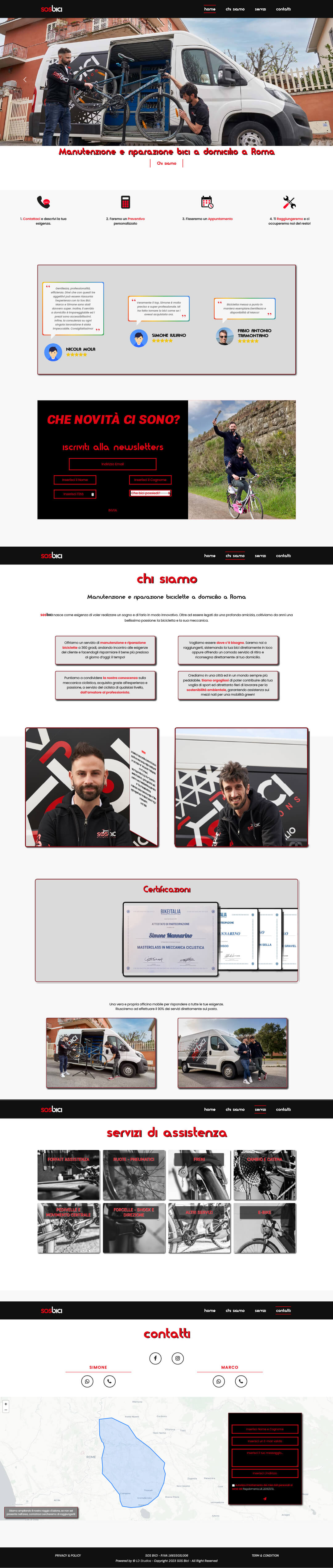 website preview